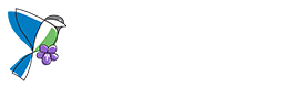 Nature NB Logo