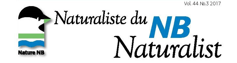 Special Climate Change Edition of the NB Naturalist Available!