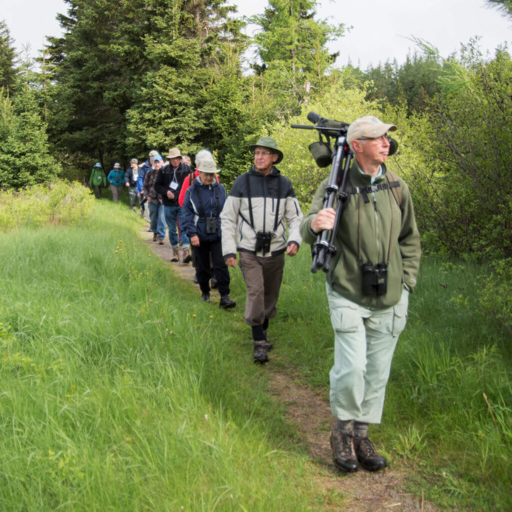 Jim Wilson - Festival of Nature 2017