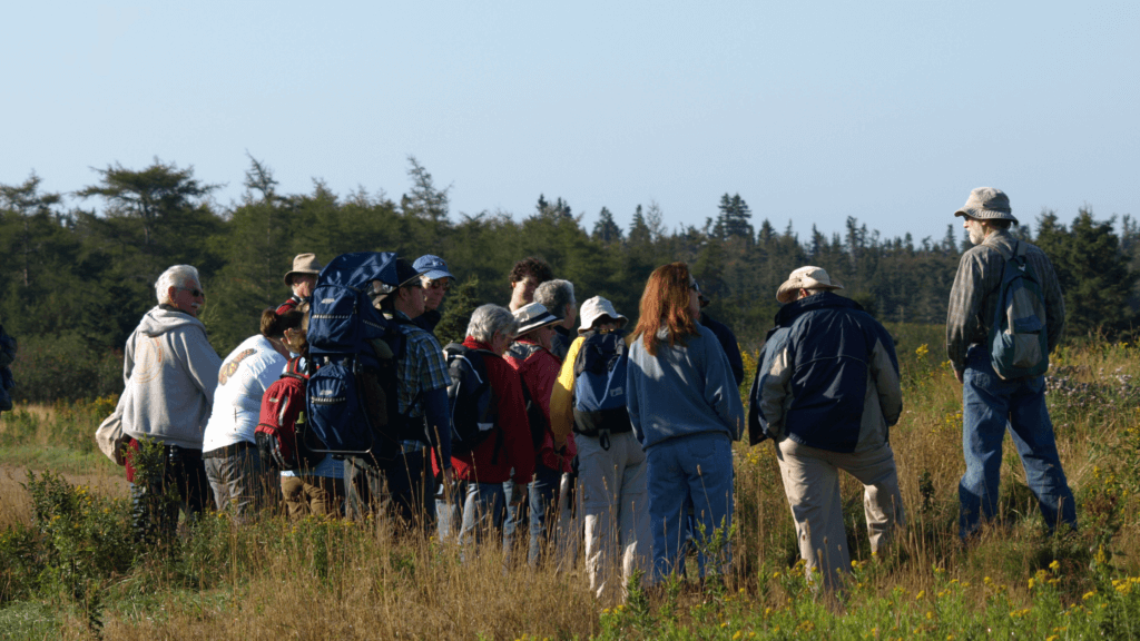 Nature NB a presque 50 ans