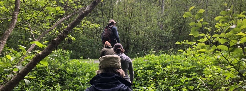 Festival de la nature - Observation d'oiseaux