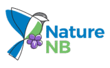 Nature NB