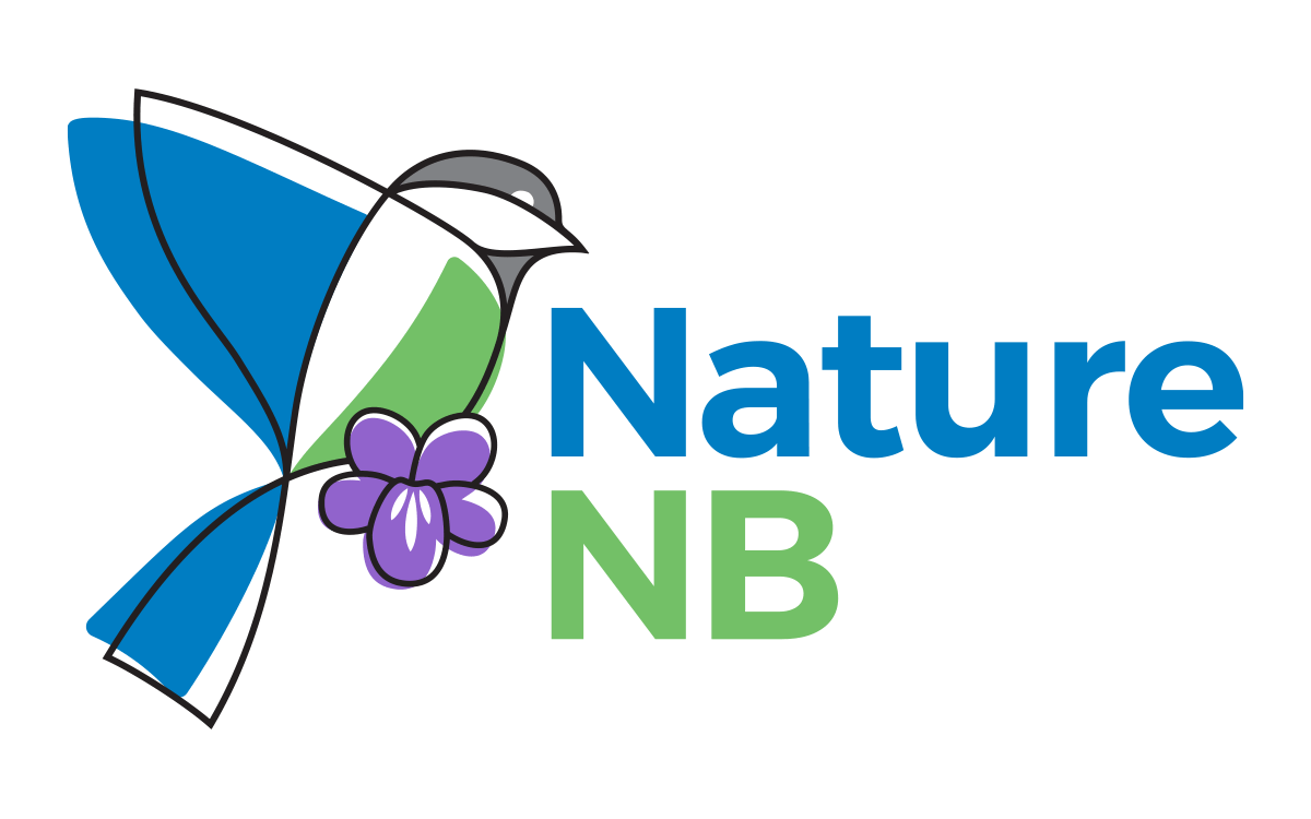 Nature NB