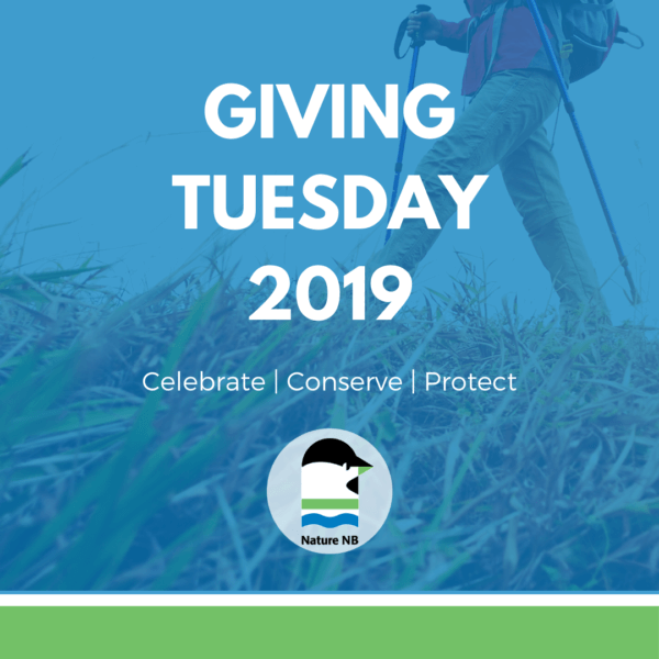 Giving Tuesday Cover Image