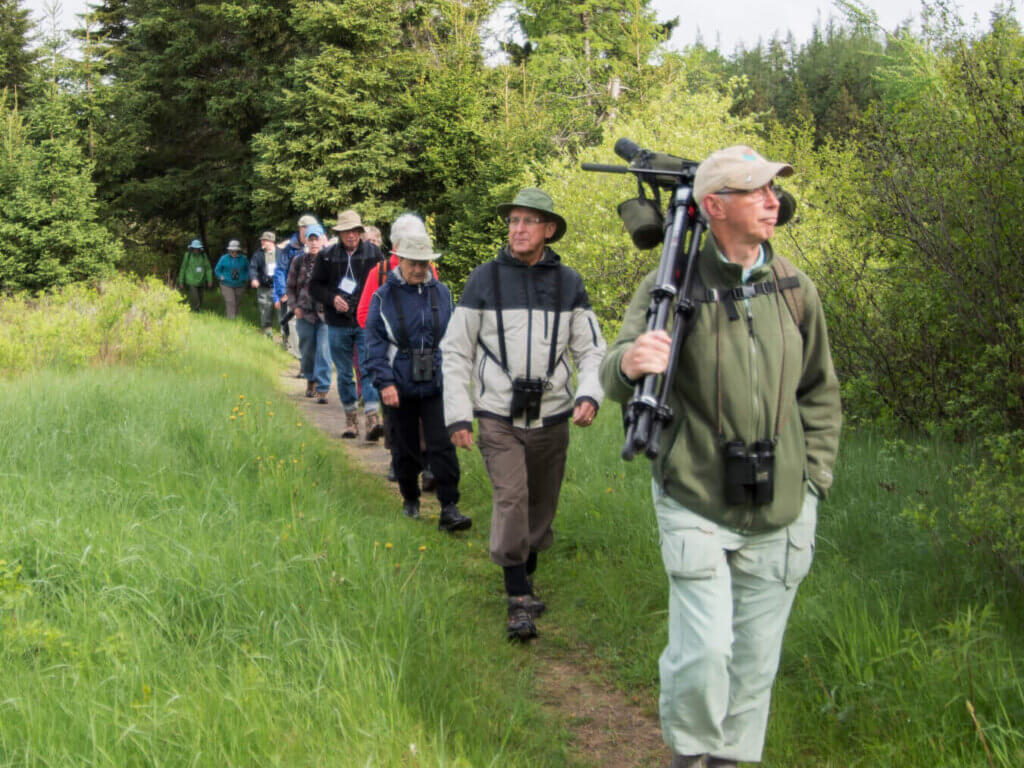 Jim Wilson - Festival of Nature 2017