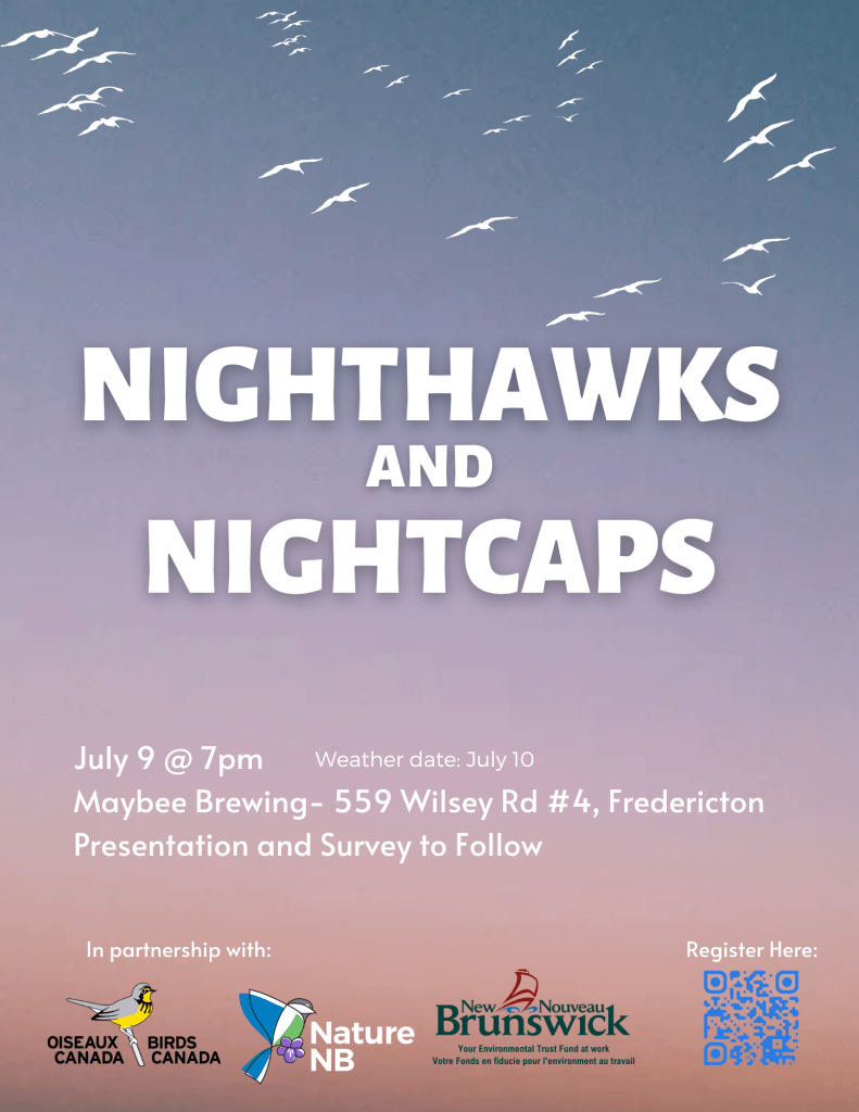 Nighthawks and Nightcaps 2025